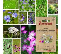 Mélange prairie de fleurs sauvages- graines bio à semer