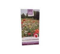 Mélange prairie fleurie : floraison abon