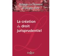 Mélanges en l'honneur de Jacques Boré - La création du droit jurisprudentiel
