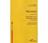 Mélanges En L'honneur De Jean-Pierre Lassale, Gabriel Montagnier Et Luc Saïdj - Figures Lyonnaises Des Finances Publiques | Occasion