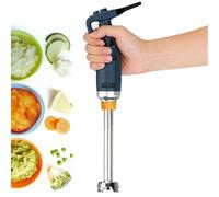 Mélangeur à immersion commerciale avec vitesse variable et long bâton pour smoothies, soupe et préparation des aliments