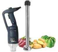 Mélangeur à immersion électrique commercial, mélangeur à main robuste avec lame en acier inoxydable 304, mélangeur à bâton de cuisine à vitesse variable, mélangeur portable polyvalent(750W)