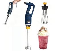 Mélangeur à main robuste 500 W, mélangeur électrique à vitesse variable, bouton de verrouillage, arbre d'immersion de 500 mm pour smoothies, soupes et préparation des aliments