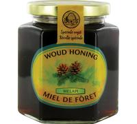 REVOGAN Miel de forêt Sirop 500 g