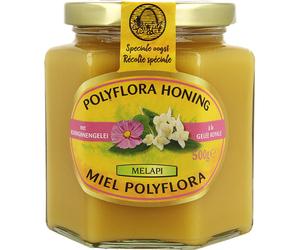 Melapi Miel Polyflora A La Gelée Royale 500g
