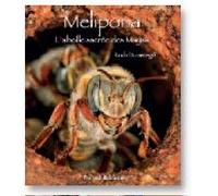 Mélipona : L'Abeille sacrée des Mayas de Domerego. Roch (2011) Broché