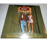 Mellow Man Ace - Whats It Take to Pull a Hottie