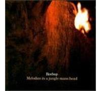 Melodies in a Jungle Man by Reebop