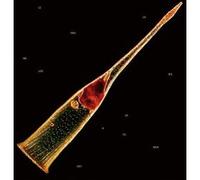 Leprous - Melodies Of Atonement