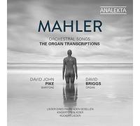 Melodies orchestrales Transcriptions pour orgue CD