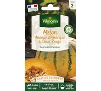 Melon Ananas - Cuisine du Monde