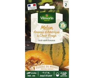 Melon Ananas - Cuisine du Monde