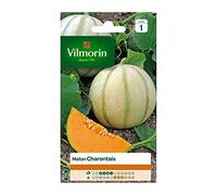 VILMORIN Melon Charentais