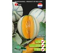 Melon charentais Artemis F1 - Légumes ou plantes à fruit