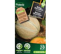 Melon Charentais - Protecta Graines paysannes - Env. 3 gr | 123-Protecta