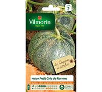 Melon Petit Gris de Rennes - Légumes d'Autrefois
