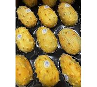 Melons à cornes fraîches (kiwano), lot de 4