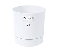 MELTOM Pot de Fleurs H 24 cm Ø 23 cm Rond Blanc Mat avec Soucoupe Intérieur | Pot rond mat · soucoupe dévissable · Ø haut 22,5 cm, bas 19,6 cm · 7 L · pour plantes d'intérieur · déco · moderne