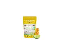 MelTonic Maltodextrine de maïs Bio - Citron vert Diététique $scat.CAT_NOM Maltodextrine de maïs Bio - Citron vert TU Blanc