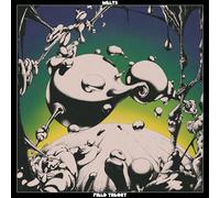 Melts – Field Theory – Vinyle 12" vert transparent