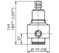 Membrane de remplacement PTFE/NBR 1/2''