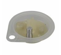 Membrane (F) (Oval) - Elm Leblanc : 8738710126