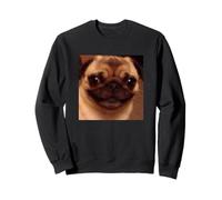 Mème Flou avec Visage de Carlin Mignon et drôle Sweatshirt