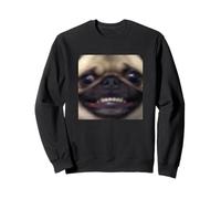 Mème Flou de Chien Carlin Mignon drôle et maladroit Sweatshirt