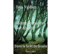 Même les pierres ont résisté