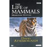 Memeliler Dünyası / The Life Of Mammals (4 DVD)