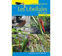 MEMO - Les Libellules
