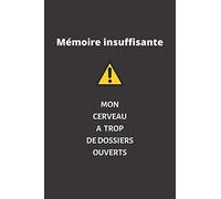Mémoire insuffisante, mon cerveau a trop de dossiers ouverts: Carnet de Notes , Journal Intime , ou Planificateur , Drôle , Blague , Humour , Cadeau ... , Retraite , Noël , Fin d'année ; 120 pages
