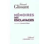 Mémoires des esclavages: La fondation d'un Centre national pour la mémoire des esclavages et de leurs abolitions