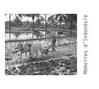 Mémoires Indonésie Manguin Pierre-Yves (Auteur)