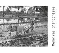 Mémoires Indonésie - Manguin Pierre-Yves - Magellan Et Cie - broché - Beau livre