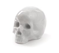 Memorabilia My Skull Sculpture Seletti OFFRE SPECIALE - 8008215104492