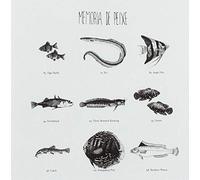 Memoria De Peixe – MEMORIA DE PEIXE - DESCALCOS SOBRE A TERRA – CD
