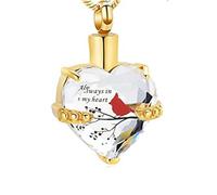 memorial jewelry Bijou de crémation cardinal rouge urne collier pour cendres pour femme toujours dans mon cœur urne médaillon pendentif urne