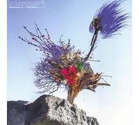 Marplast – Memories in The Wind