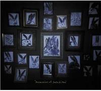 Memories Of Sasaki San