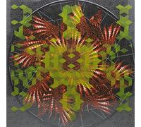 Memory9 - Red Falcon EP [Import]