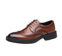 Men’s Fashionable Lace-Up Leather Dress Shoes Pointed Toe Classic All-Match Wedding & Business Shoes(Brown,42 EU)
