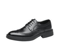 Men’s Fashionable Lace-Up Leather Dress Shoes Pointed Toe Classic All-Match Wedding & Business Shoes(Black,40 EU)