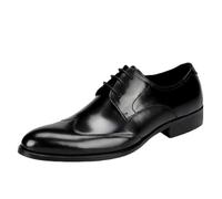 Men’s Italian-Style Lace-Up PU Leather Formal Shoes Pointed Toe Wedding Prom Tuxedo Dress Shoes Comfortable & Stylish(40 EU)