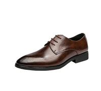 Men’s Pointed Toe Lace-Up Leather Oxford Shoes Business & Casual Dress Shoes for Office Wedding Party(Brown,44 EU)