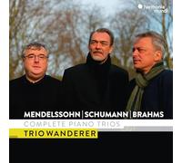 Mendelssohn, Schumann & Brahms – Intégrale des trios pour piano – CD – Édition limitée