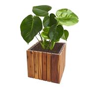 Mendler Jardinière HWC-L24 carrée 32x32x32cm Outdoor bois d'acacia certifié MVG, brun