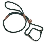 Mendota Déambulateur pour chien Vert chasseur 9,5 x 1,8 m