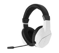 MENDUNER Casque de Jeu sans Fil, 2,4 G Bluetooth 5.4 RVB, Micro Antibruit avec Très Faible Latence, PC, Ordinateur, Smartphone, Tablette, Commutateur 2 (White)