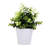 Meneco Petite Plante Artificielle en Pot - Plante d'intérieur Artificielle en Pot pour la Maison et Le Bureau (Vert Eucalyptus)